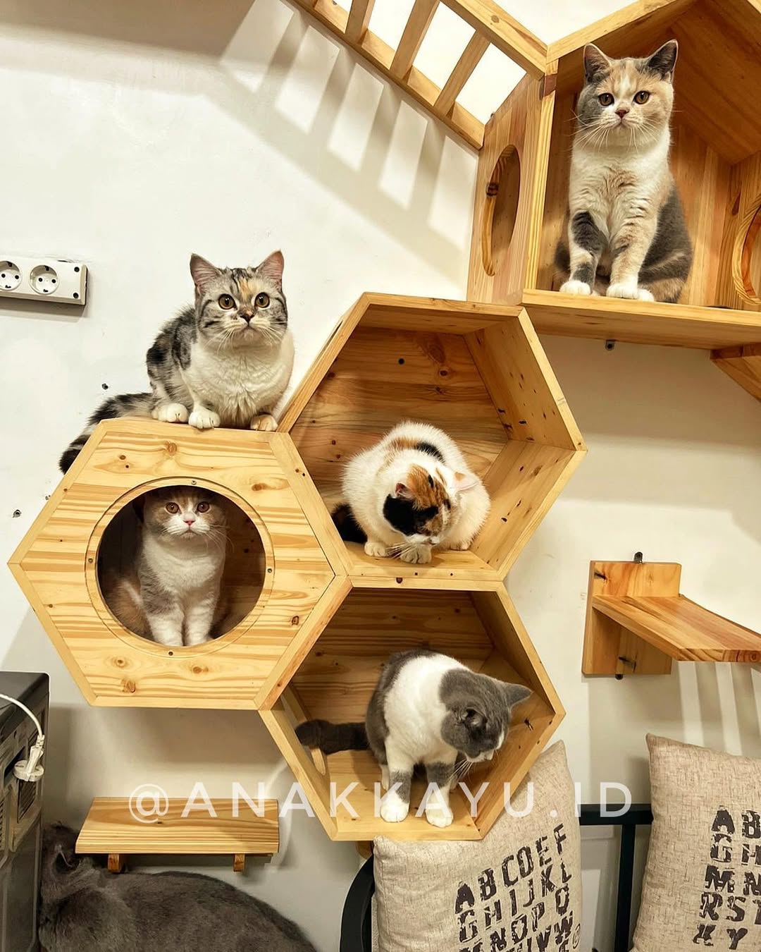 Dekorasi Dinding Kayu